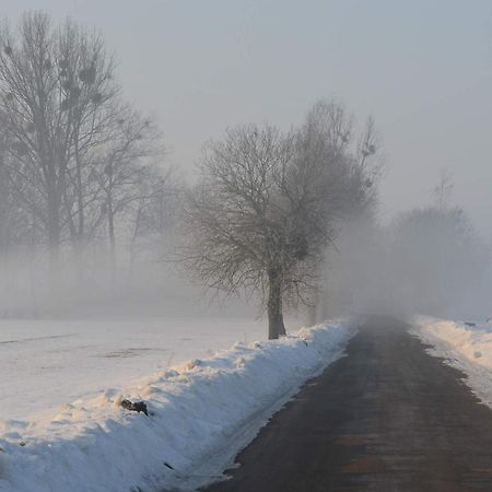 Na Skraju Puszczy Villa Hajnowka Luaran gambar