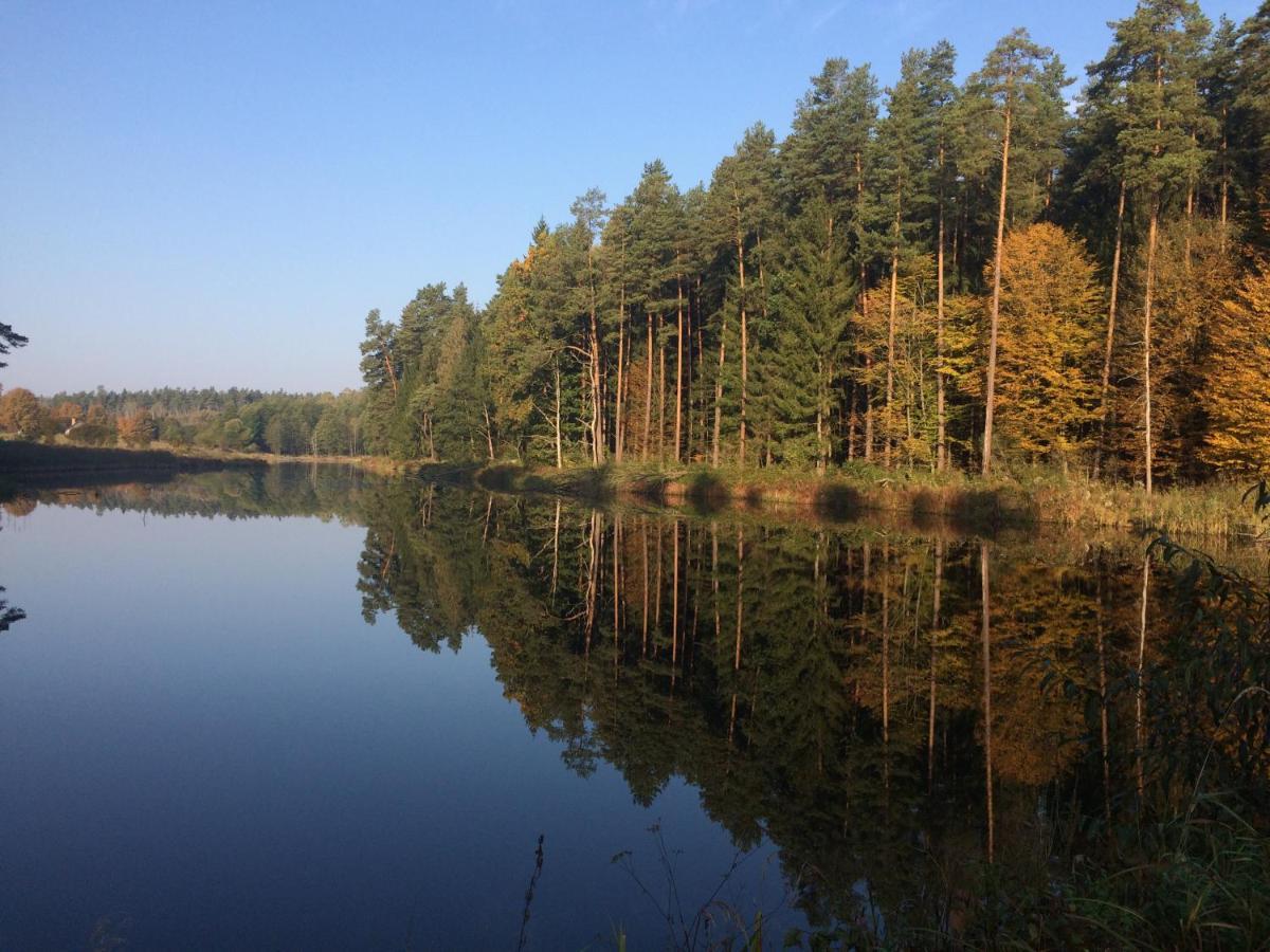 Na Skraju Puszczy Villa Hajnowka Luaran gambar