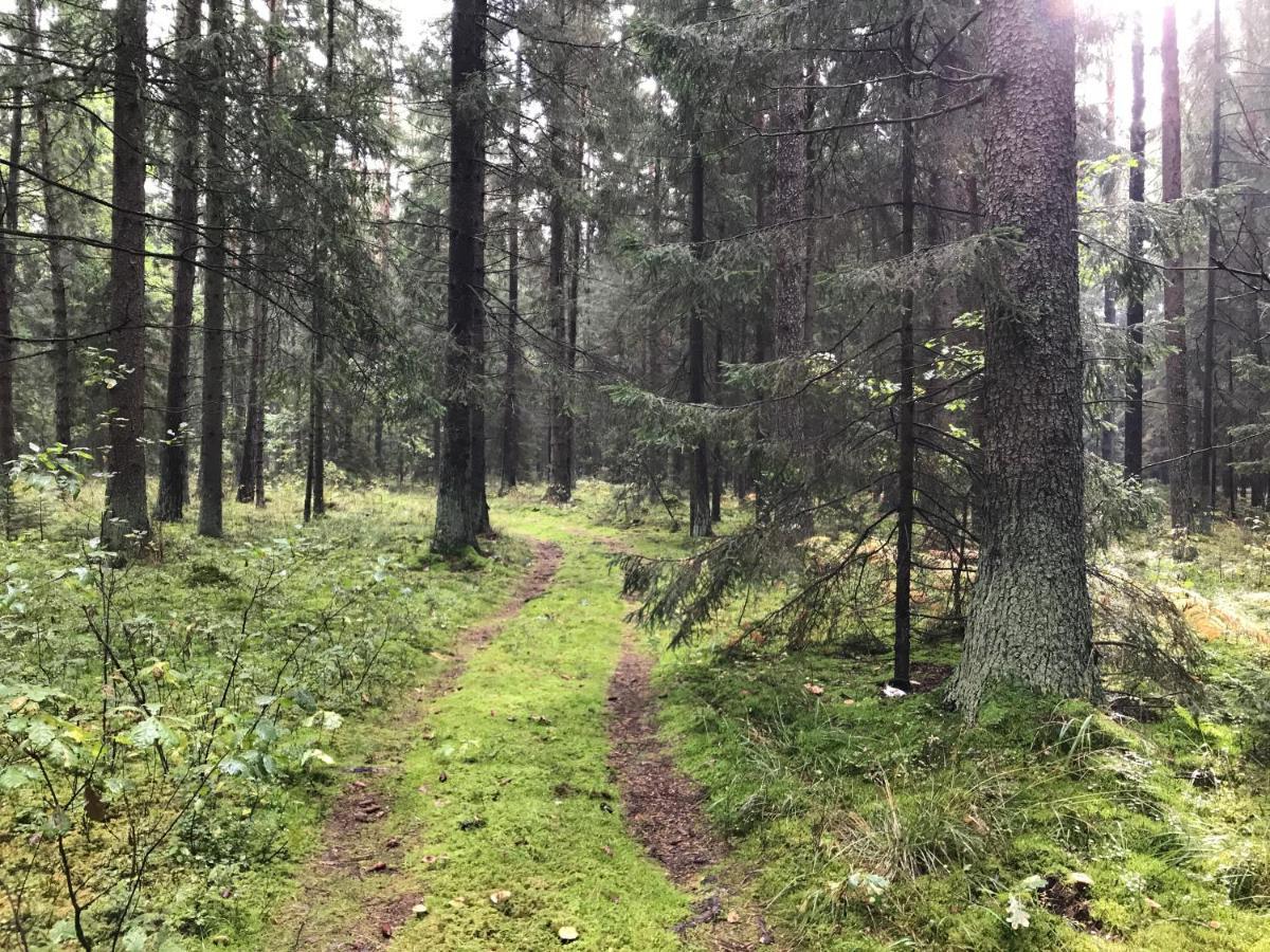 Na Skraju Puszczy Villa Hajnowka Luaran gambar