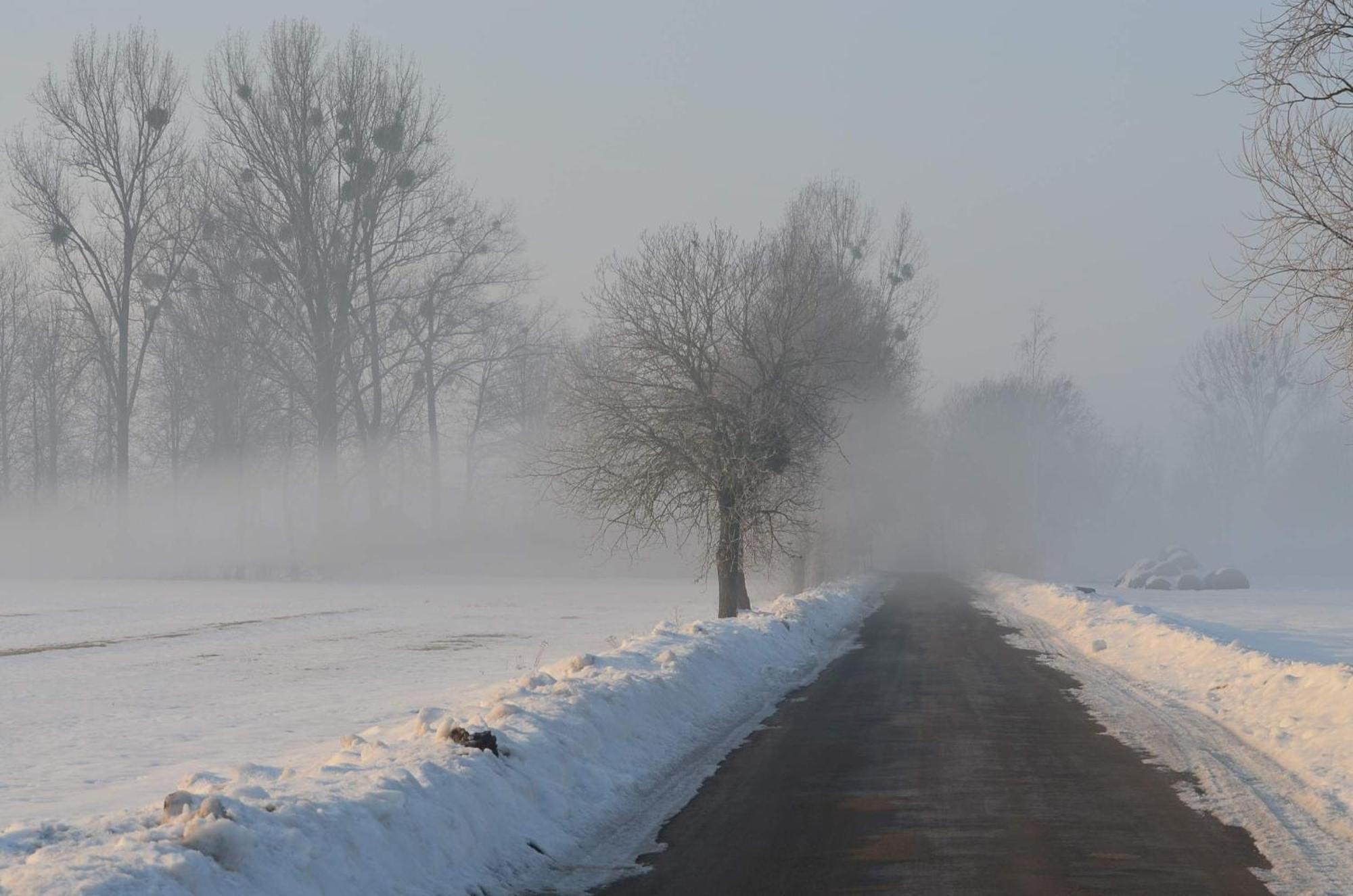 Na Skraju Puszczy Villa Hajnowka Luaran gambar